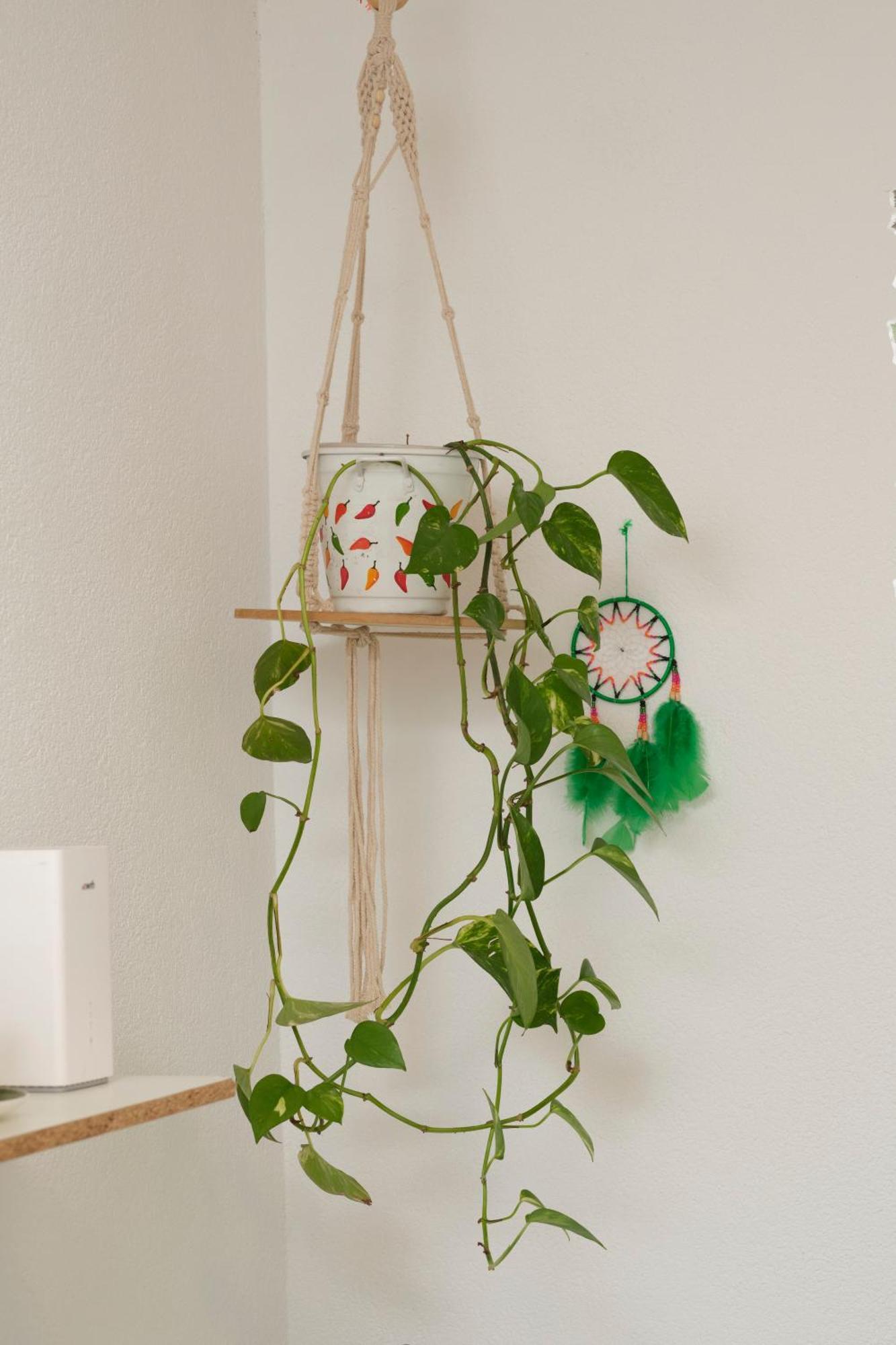 Doppelzimmer Bei Natur & Events Basel Exterior photo